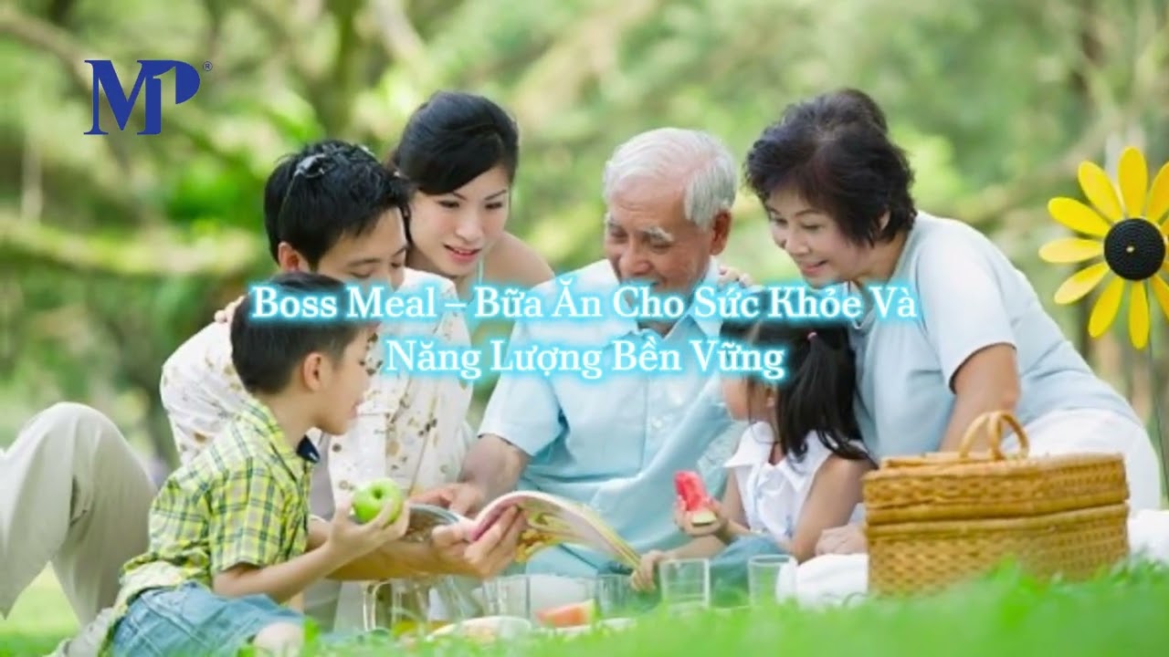 Bữa Ăn Dinh Dưỡng Boss Meal - Dược mỹ phẩm MP1